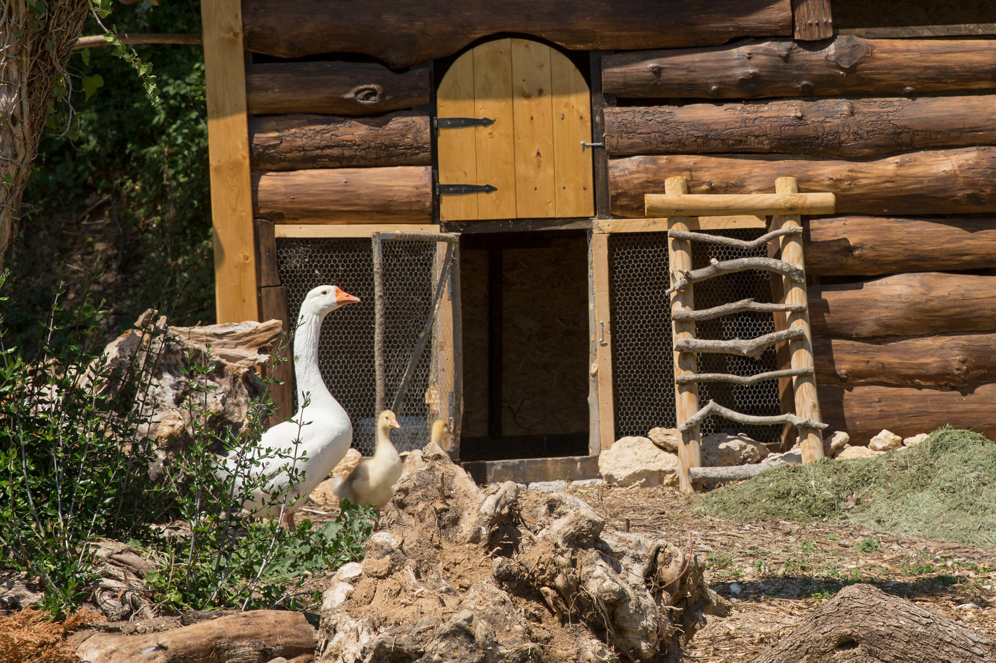 Agriturismo Le Anfore Сартеано Экстерьер фото