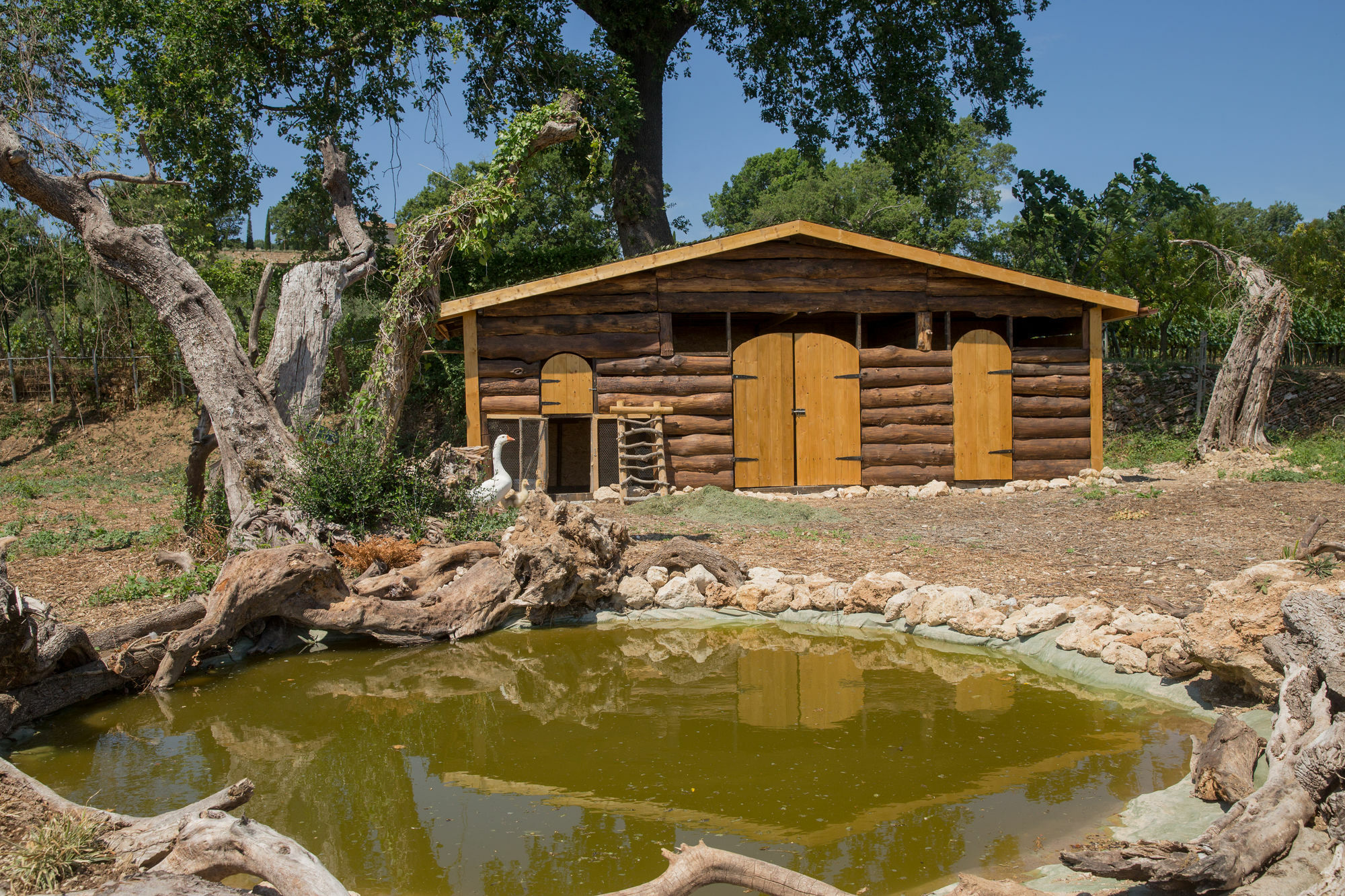 Agriturismo Le Anfore Сартеано Экстерьер фото